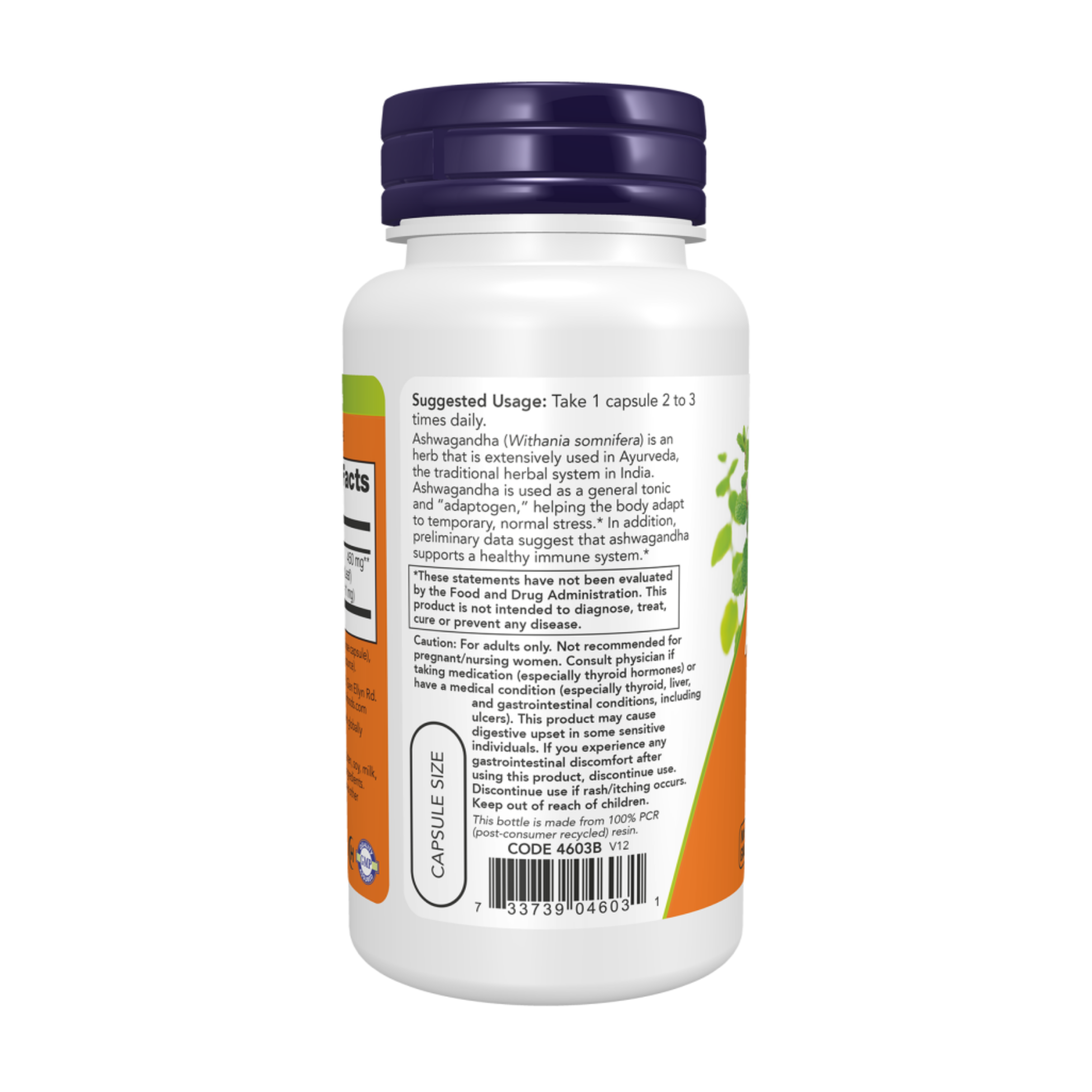 NOW Foods - Ashwagandha Extract 450mg - 90 vcaps